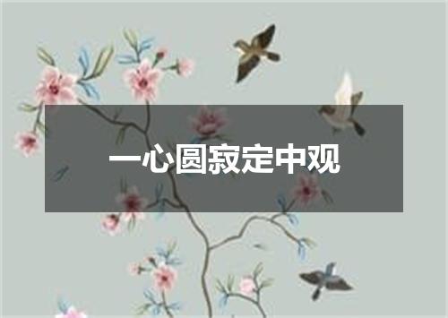 一心圆寂定中观