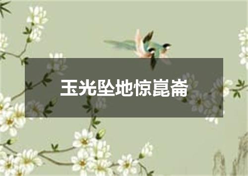 玉光坠地惊崑崙