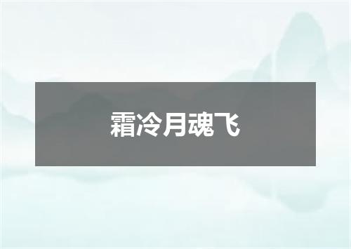 霜冷月魂飞