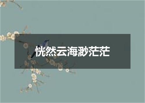 恍然云海渺茫茫
