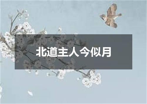 北道主人今似月