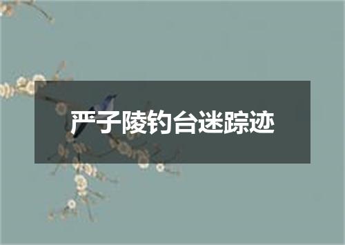 严子陵钓台迷踪迹