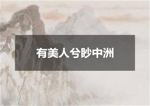 有美人兮眇中洲