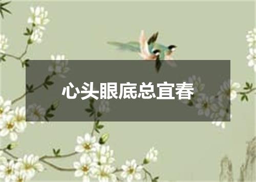 心头眼底总宜春