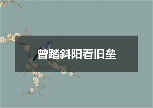 曾踏斜阳看旧垒