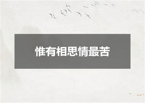 惟有相思情最苦