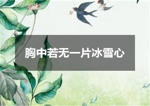 胸中若无一片冰雪心