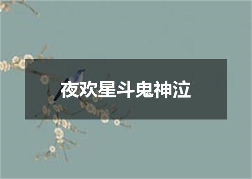夜欢星斗鬼神泣