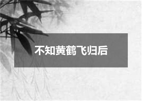 不知黄鹤飞归后