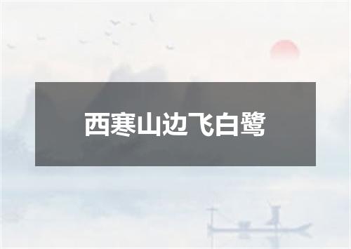 西寒山边飞白鹭