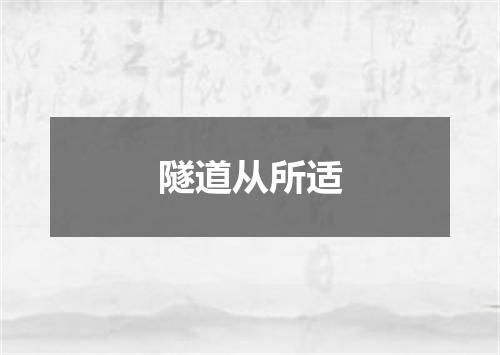 隧道从所适