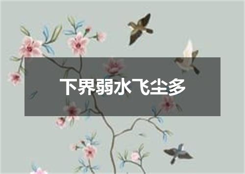 下界弱水飞尘多