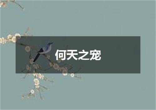 何天之宠