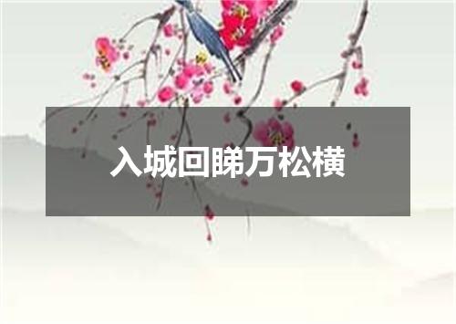 入城回睇万松横