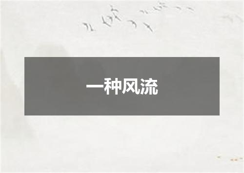 一种风流
