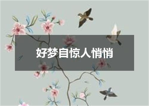 好梦自惊人悄悄