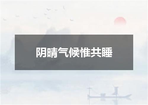 阴晴气候惟共睡