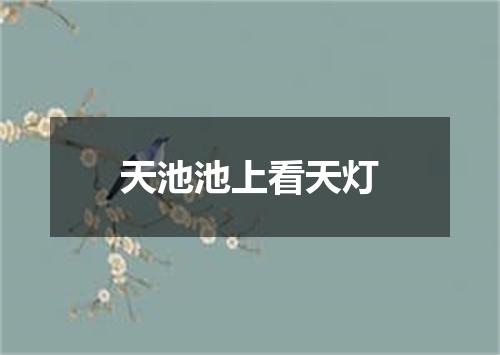 天池池上看天灯