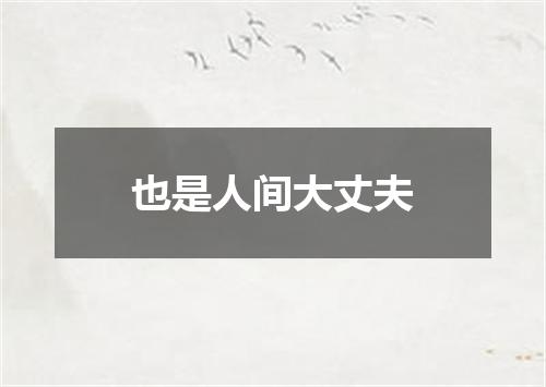 也是人间大丈夫