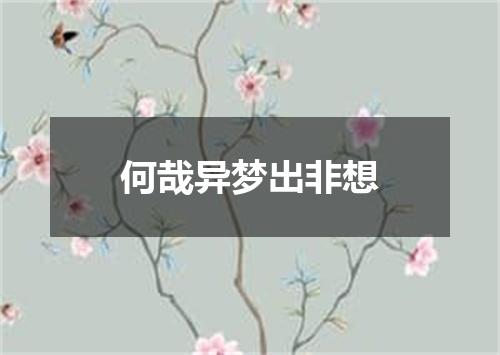 何哉异梦出非想