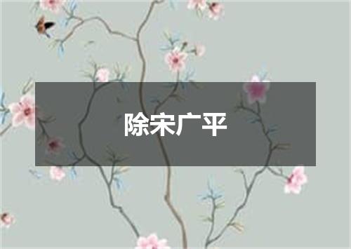 除宋广平