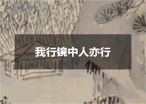 我行镜中人亦行