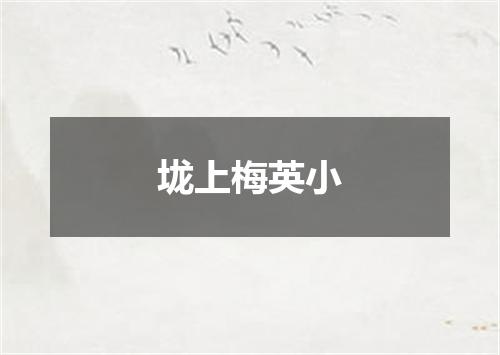 垅上梅英小