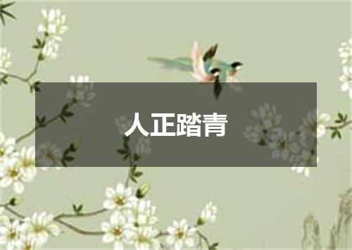 人正踏青