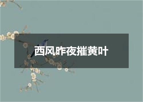 西风昨夜摧黄叶