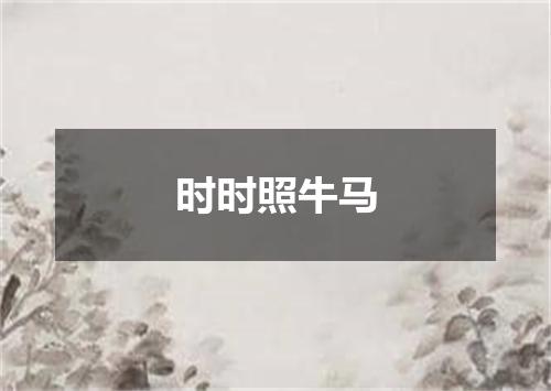 时时照牛马