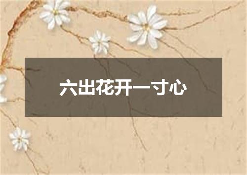 六出花开一寸心