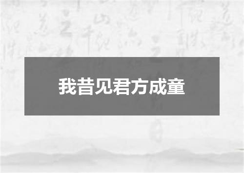 我昔见君方成童