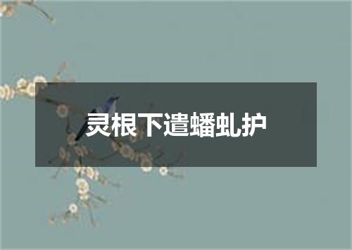 灵根下遣蟠虬护
