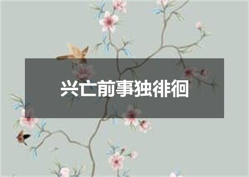 兴亡前事独徘徊