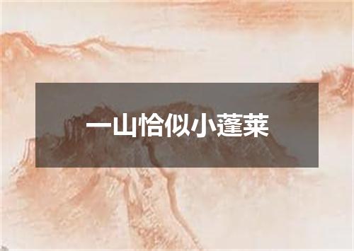 一山恰似小蓬莱