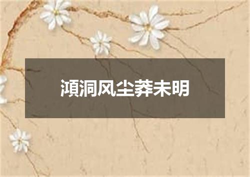 澒洞风尘莽未明