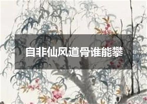 自非仙风道骨谁能攀