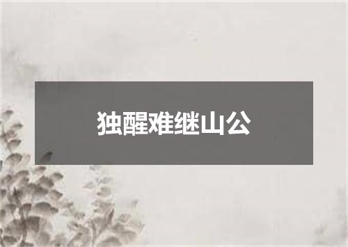 独醒难继山公