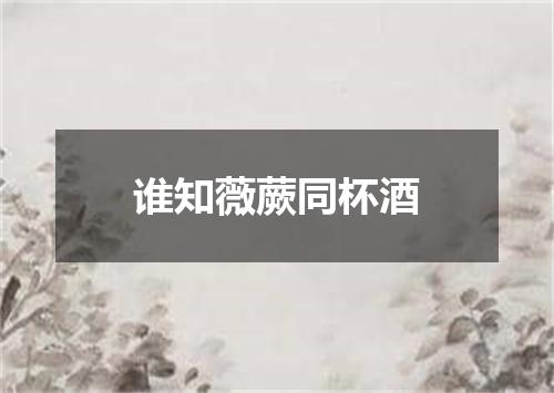 谁知薇蕨同杯酒
