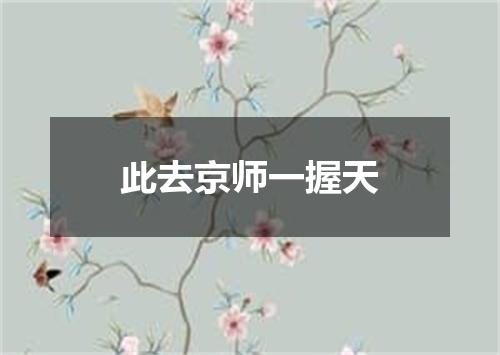 此去京师一握天