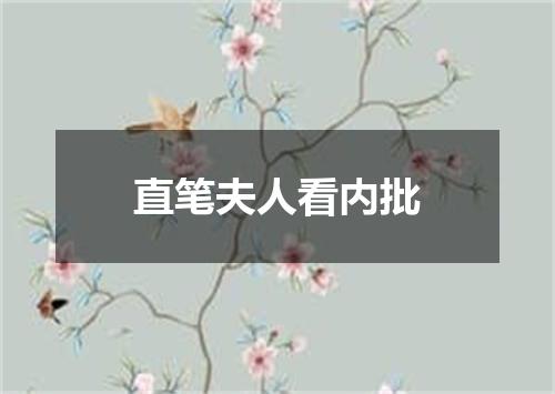 直笔夫人看内批