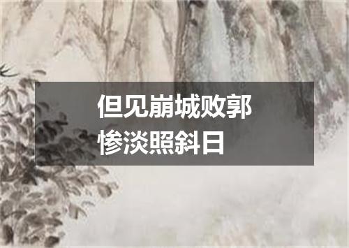 但见崩城败郭惨淡照斜日