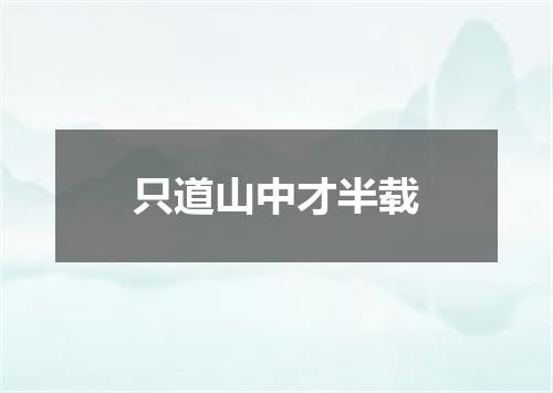 只道山中才半载