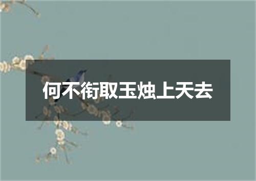 何不衔取玉烛上天去