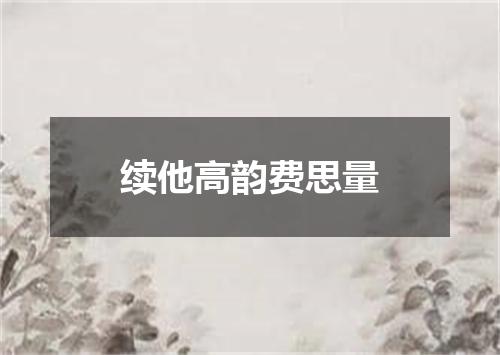 续他高韵费思量