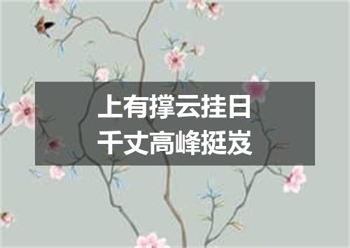 上有撑云挂日千丈高峰挺岌