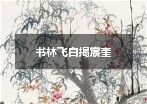 书林飞白揭宸奎