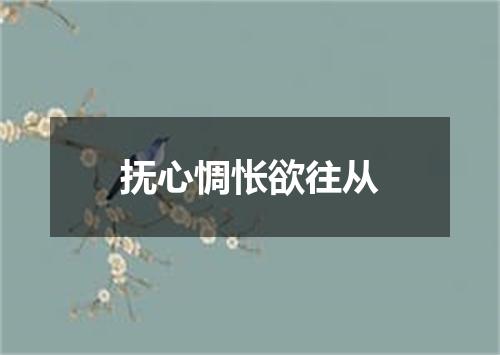 抚心惆怅欲往从