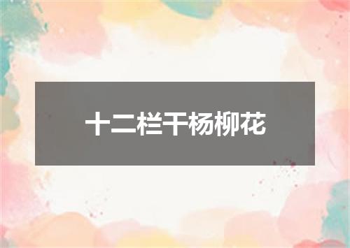 十二栏干杨柳花