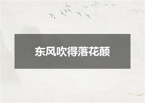 东风吹得落花颠
